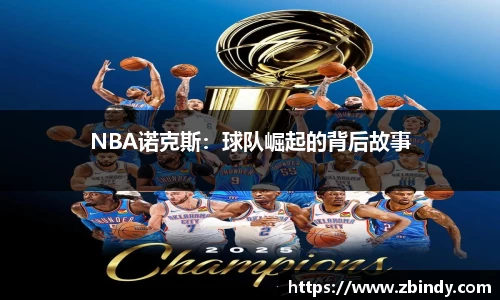 NBA诺克斯：球队崛起的背后故事